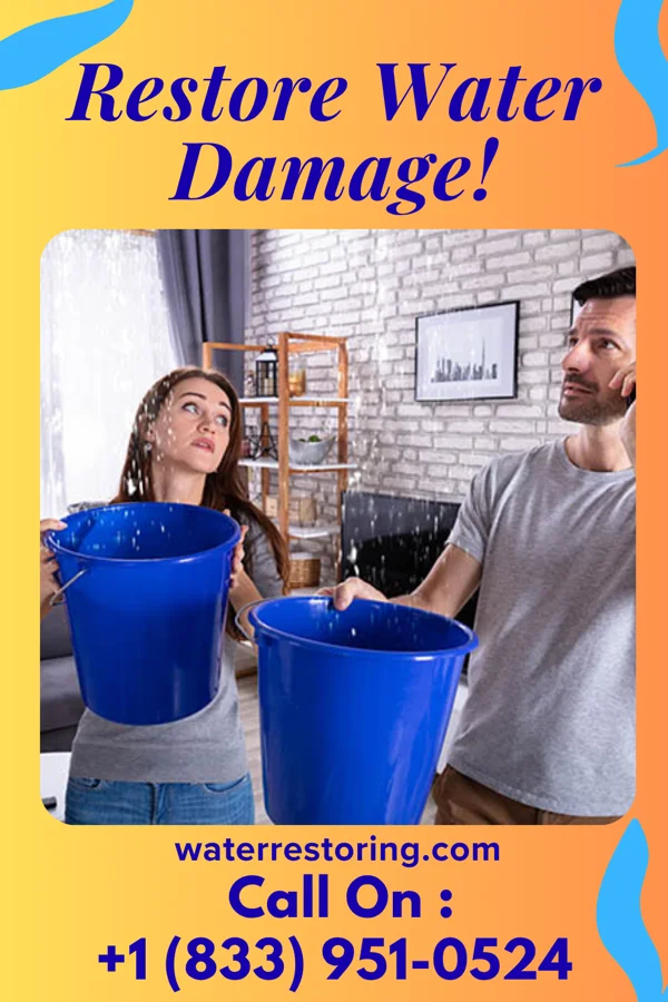 water restoration Total Sewage Cleanup Professionals Flemington