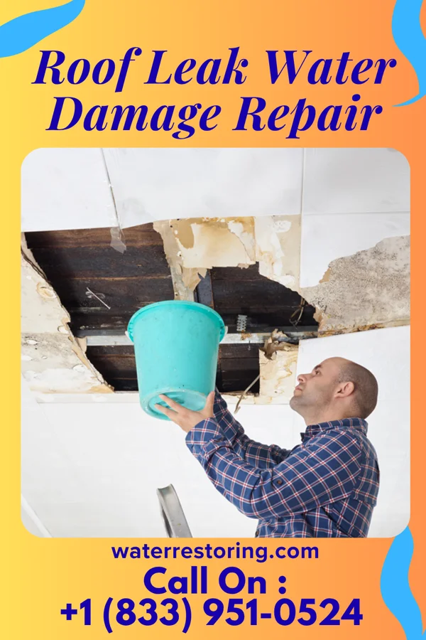 Roof Leak Water Damage Repair in Flemington, PA