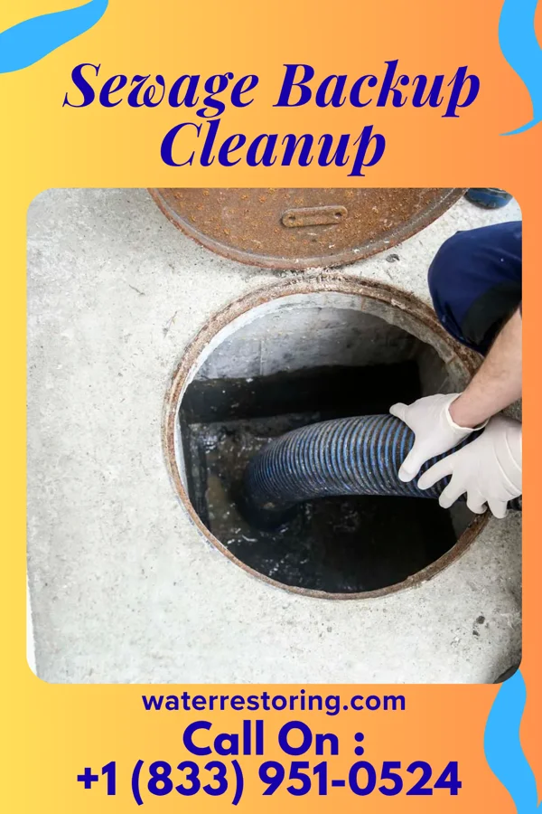 Sewage Backup Cleanup in Flemington, PA