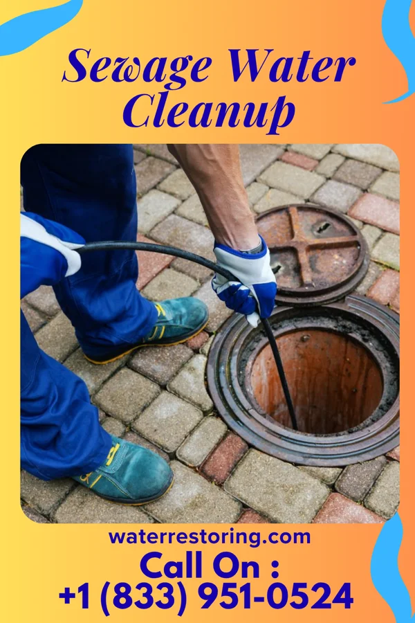 Sewage Water Cleanup in Flemington, PA