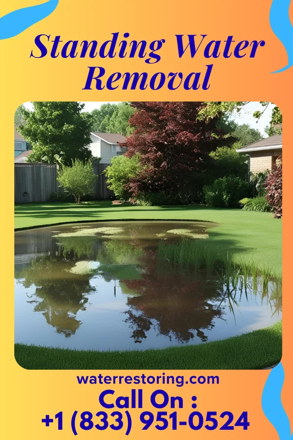 Standing Water Removal in Flemington, PA